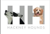 Hackney Hounds image 1